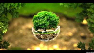 Financing the Green Dream: Africa’s Climate Projects Wait in Limbo