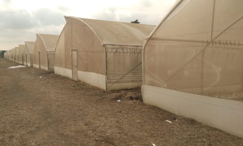 Marphlix Trust Breathes New Life into Idle Irrigation Facility, Empowers Youth in Agribusiness