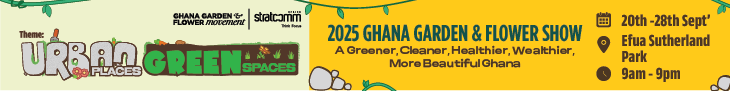 GH News Hub banner