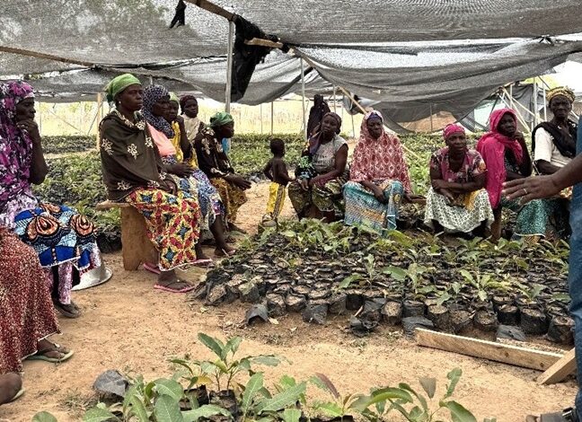 Women Hit Hardest as Hunger Tightens Its Grip on Ghanaian Homes
