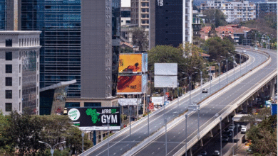 Africa’s Debt Burden Threatening Climate Resilience Gains