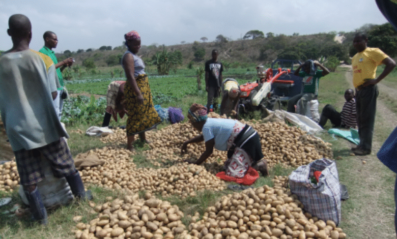 Gates Foundation Commits $1.4bn to Support Climate Adaptation in African and South Asian Farming Communities