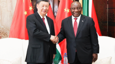 China Signals Stronger Partnership with South Africa, Offers Expanded Market Access and Investment Support