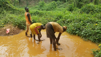 Northern Ghana’s Gold Fields Face Rising Extremist Interest – GI-TOC Report Warns