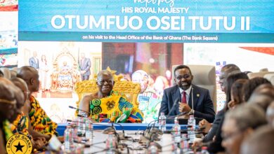 Cedi Gains Reflect Discipline, Not Permanence — BoG Governor