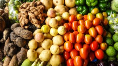 Africa’s $1 Trillion Food Economy Hinges on Fixing How Governments Spend