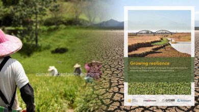 Africa Rallies Capital to Unlock Green Economy Potential