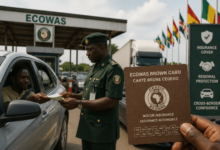 Confidence On the Road: How Stakeholders Judge the Ecowas Brown Card Scheme