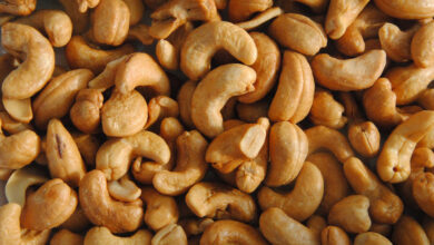 China expands market access for African cashew nuts