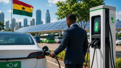 China Says Africa's EV Boom Depends on Private Sector, Not Public Spending