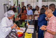 Africa's Nutrition Crisis: Inside Nestlé's Search for Practical Solutions