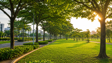 The Greener Ghana Vision: How Trees and Grass Can Transform Our Nation